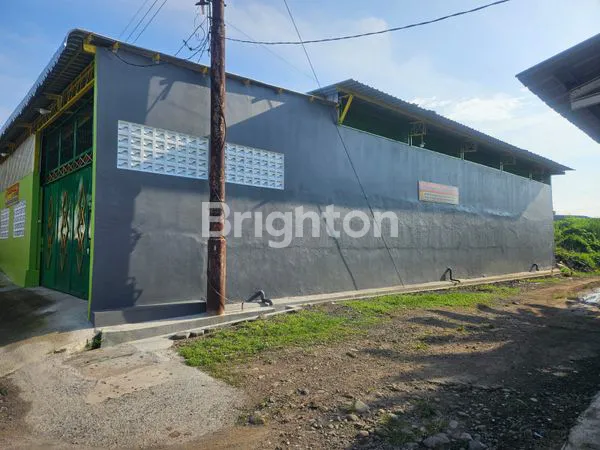 image GUDANG RAPI DI PEMUKIMAN DALAM KOTA SEMARANG (8)