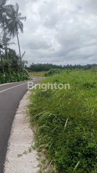 image JUAL TANAH VIEW SAWAH DI KERAMBITAN (1)