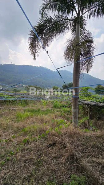 image TANAH KAVLING SONGGORITI MALANG (1)