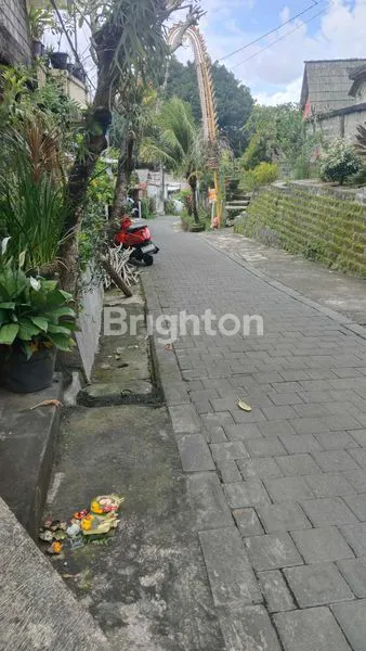 image RUMAH DEKAT KAMPUS MAHENDRADATA COCOK UNTUK USAHA KOS ATAU HUNIAN LOKASI DENPASAR UTARA (6)