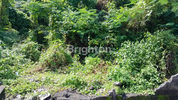 image TANAH KAVLING STRATEGIS DI JALAN UTAMA NUSA DUA – JUAL / SEWA, SHM (3)