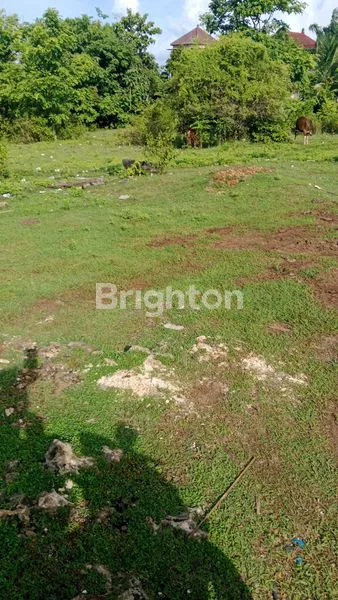 image TANAH PINGGIR JALAN NUSA DUA POTENSIAL BISNIS JANGKA PANJANG (1)