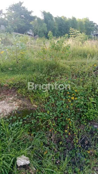 image TANAH PINGGIR JALAN RAYA DEKAT BANDARA POTENSI BISNIS BESAR DI PINGGIR JALAN BYPASS (1)