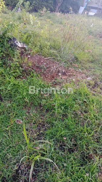 image TANAH PINGGIR JALAN RAYA DEKAT BANDARA POTENSI BISNIS BESAR DI PINGGIR JALAN BYPASS (2)