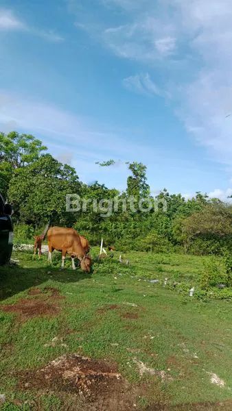 image TANAH PINGGIR JALAN PANTAI BALANGAN COCOK UNTUK BISNIS JANGKA PANJANG (1)