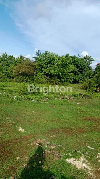 image TANAH PINGGIR JALAN PANTAI BALANGAN COCOK UNTUK BISNIS JANGKA PANJANG (2)