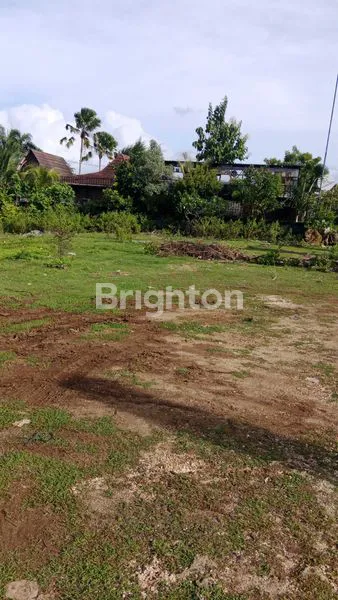 image TANAH PINGGIR JALAN PANTAI BALANGAN COCOK UNTUK BISNIS JANGKA PANJANG (3)