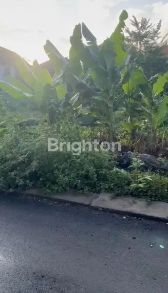 image TANAH ZONA PARIWISATA LINGKUNGAN HIJAU AREA VILLA OWNER BUTUH UANG CEPAT (6)