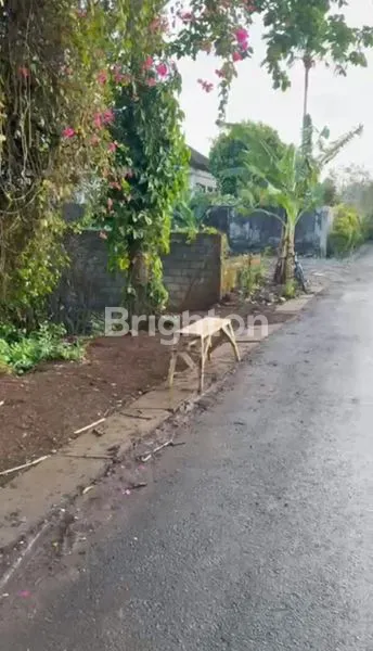 image TANAH ZONA PARIWISATA LINGKUNGAN HIJAU AREA VILLA OWNER BUTUH UANG CEPAT (5)