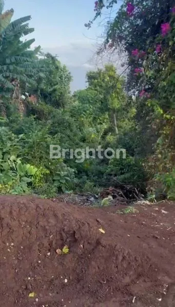 image TANAH ZONA PARIWISATA LINGKUNGAN HIJAU AREA VILLA OWNER BUTUH UANG CEPAT (4)