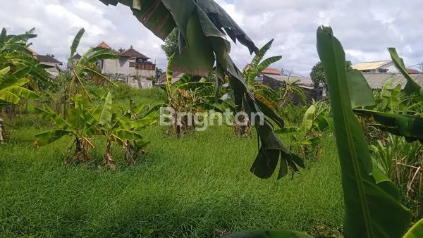 image DISEWAKAN TANAH PREMIUM UNTUK JANGKA PANJANG DIDAERAH TUKAD PETANU RENON (1)