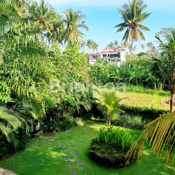 image FOR RENT 3 BEDROOM VILLA IN SUKAWATI GIANYAR (306V) (3)