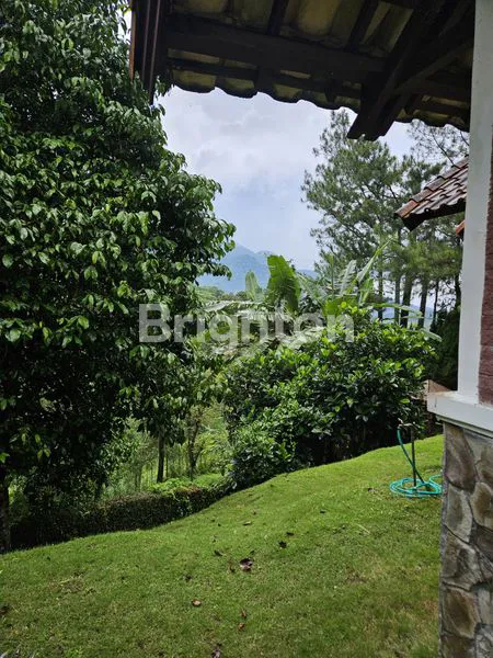 image VILLA MEWAH DI TRAWAS, LT 534M², 4 KT, SIAP HUNI (3)