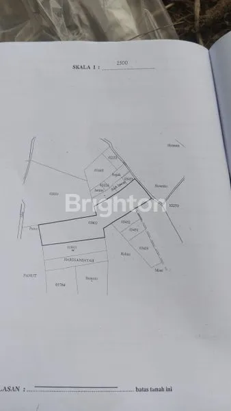 image TANAH DI SABAH BALAU, TANJUNG BINTANG, LAMPUNG SELATAN, LAMPUNG (6)