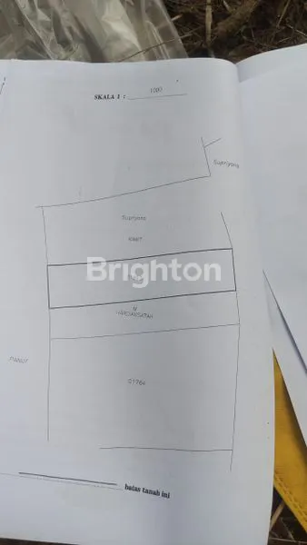 image TANAH DI SABAH BALAU, TANJUNG BINTANG, LAMPUNG SELATAN, LAMPUNG (7)