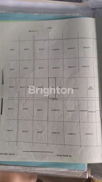 image TANAH DI SABAH BALAU, TANJUNG BINTANG, LAMPUNG SELATAN, LAMPUNG (8)