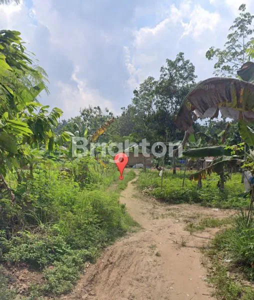 image TANAH DI SABAH BALAU, TANJUNG BINTANG, LAMPUNG SELATAN, LAMPUNG (1)