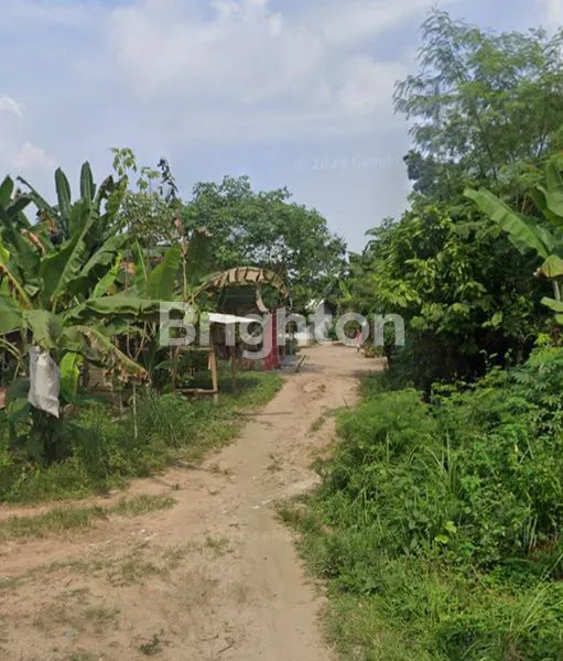 image TANAH DI SABAH BALAU, TANJUNG BINTANG, LAMPUNG SELATAN, LAMPUNG (5)