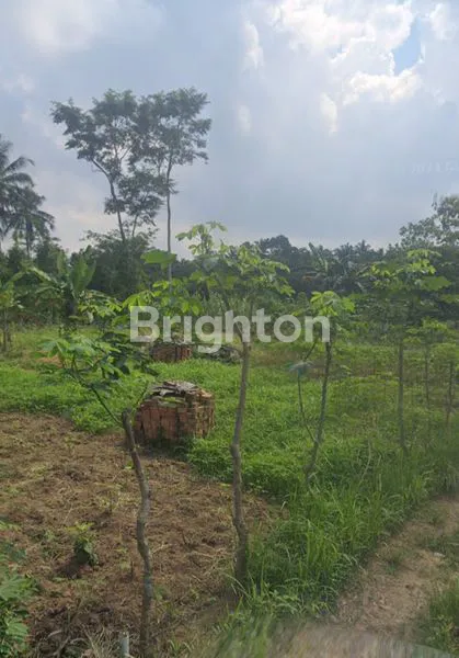image TANAH DI SABAH BALAU, TANJUNG BINTANG, LAMPUNG SELATAN, LAMPUNG (2)