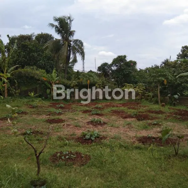 image TANAH LUAS BONUS RUMAH TUA CIPUTAT TIMUR (4)