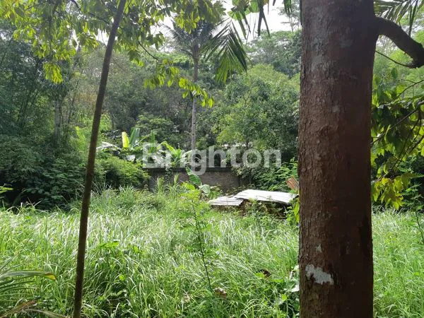 image CEPAT TANAH STRATEGIS DEKAT KAMPUS UNNES SEMARANG (6)