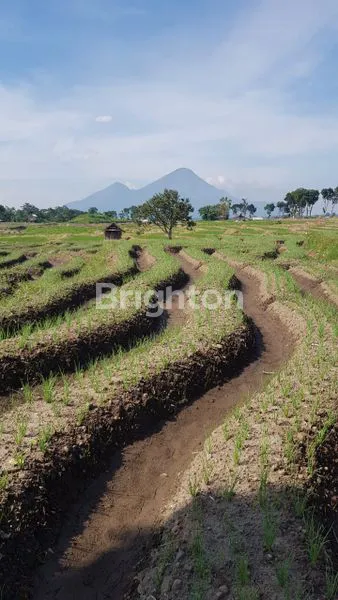 image TANAH DEKAT WISATA PACET LT. 2.560 M2 DI LEDOK, PACET, KEC. PACET, KAB MOJOKERTO (3)
