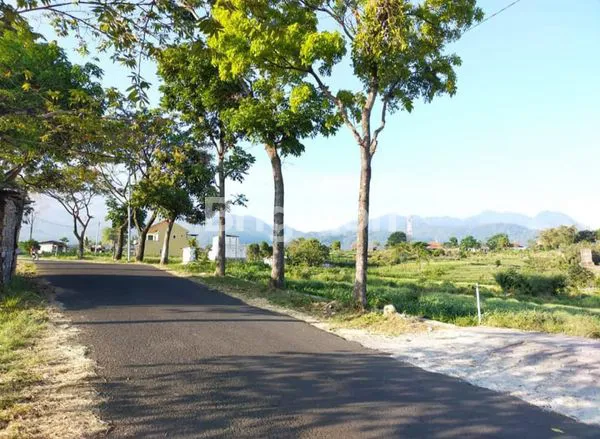 image TANAH DEKAT WISATA PACET LT. 2.560 M2 DI LEDOK, PACET, KEC. PACET, KAB MOJOKERTO (1)