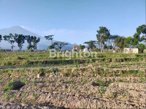 image TANAH DEKAT WISATA PACET LT. 2.560 M2 DI LEDOK, PACET, KEC. PACET, KAB MOJOKERTO (4)