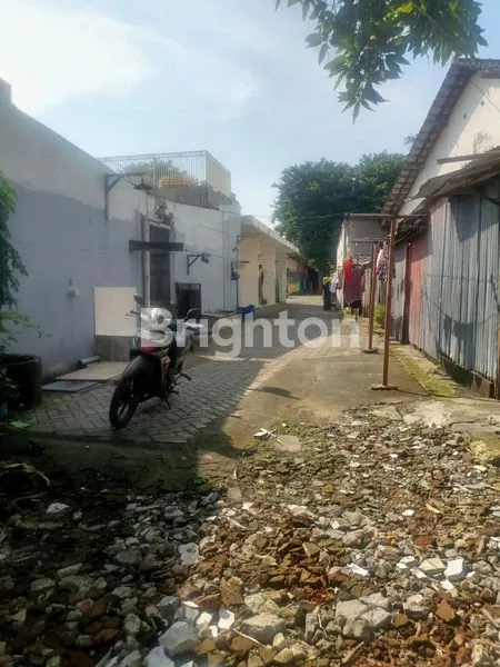 image TANAH LUAS 160M² SHM SIAP BANGUN DI GENDING, GRESIK (3)