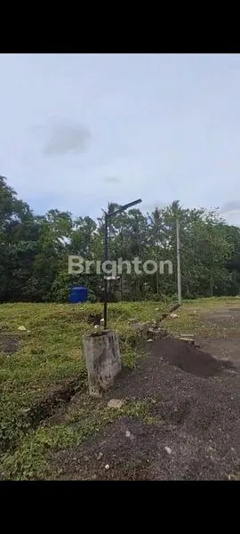 image TURUN HARGA HANYA 3 UNIT KAVLING DI PERUMAHAN SELEMADEG TABANAN BALI (1)