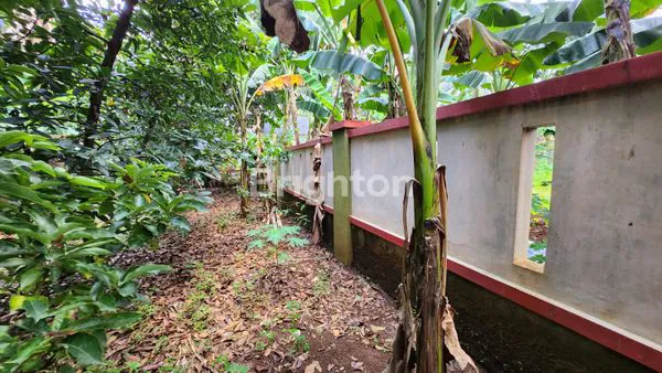 image KAVLING SIAP BANGUN MURAH DI JAGAKARSA JAKARTA SELATAN  (2)