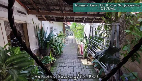 image RUMAH ASRI 1 LANTAI - MOJOKERTO (5)