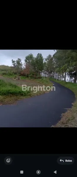 image TANAH LUAS TEPI KALDERA (5)