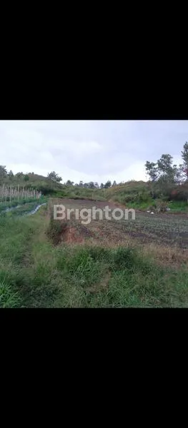 image TANAH LUAS TEPI KALDERA (3)