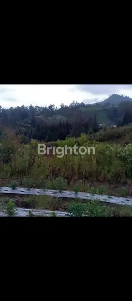 image TANAH LUAS TEPI KALDERA (2)