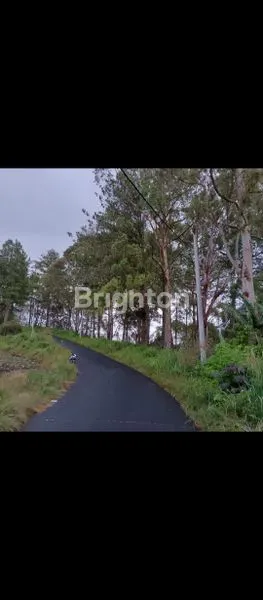 image TANAH LUAS TEPI KALDERA (4)