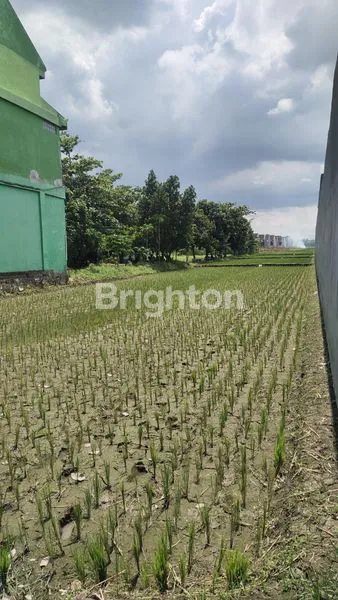 image TANAH MURAH DEKAT RUMAH SAKIT HVA PARE KEDIRI (7)