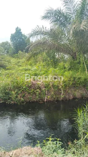 image DIJUAL TANAH STRATEGIS – KOTA DUMAI  (3)