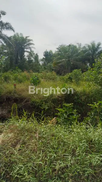 image DIJUAL TANAH STRATEGIS – KOTA DUMAI  (4)