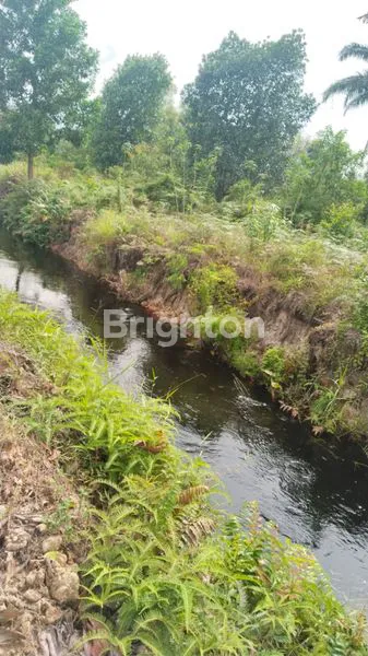 image DIJUAL TANAH STRATEGIS – KOTA DUMAI  (6)