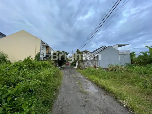 image LAHAN DI UNGASAN (2)