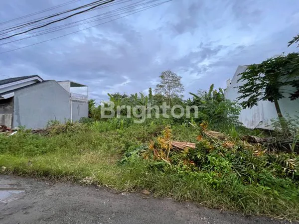 image LAHAN DI UNGASAN (3)