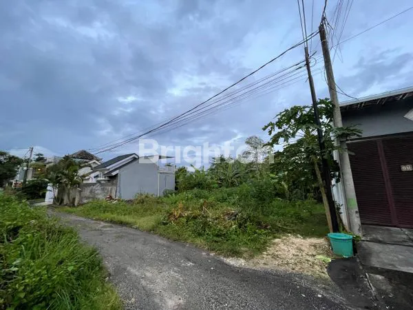 image LAHAN DI UNGASAN (1)