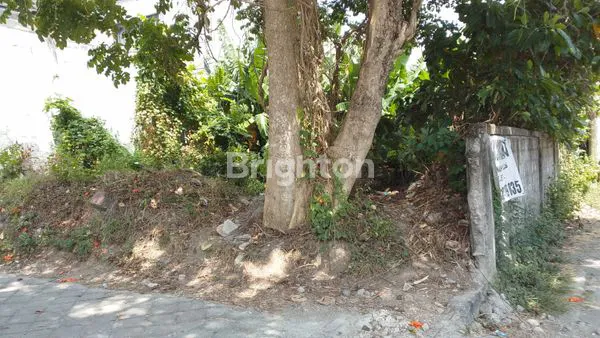 image TANAH DISEWAKAN DI JIMBARAN  (1)