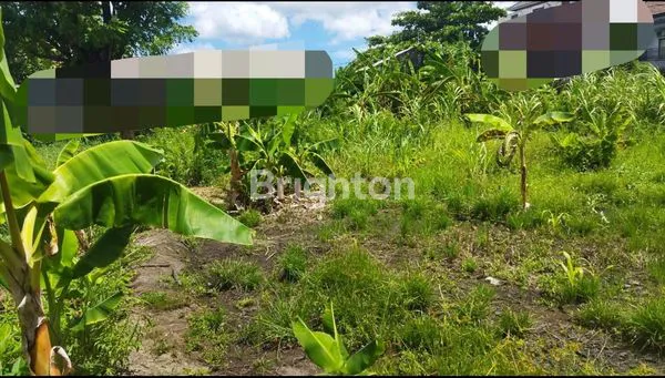 image TANAH SEWA 23 ARE DILOKASI JALAN TUKAD DENPASAR SELATAN (1)