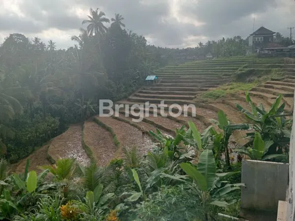 image TANAH 1.012 M² HADIAH RUMAH – VIEW LERENG GUNUNG DEKAT JATILUWIH (2)