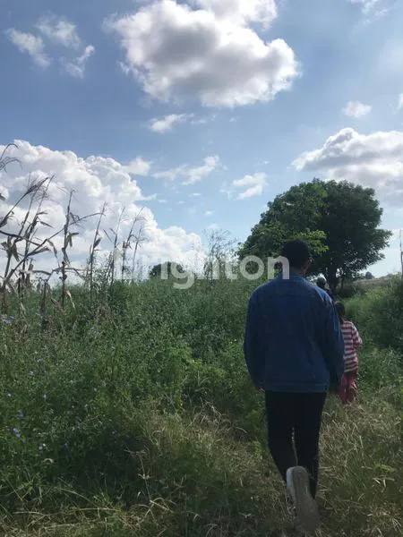 image TANAH SUMBA PINGGIR PANTAI (8)