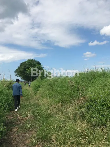 image TANAH SUMBA PINGGIR PANTAI (6)