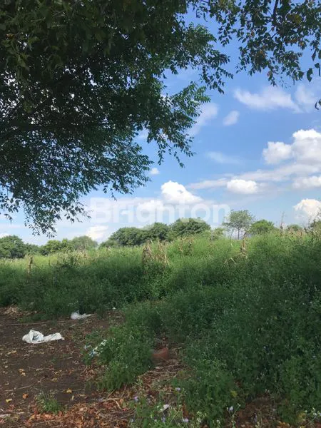 image TANAH SUMBA PINGGIR PANTAI (4)