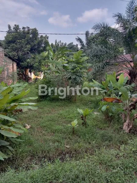 image TANAH STRATEGIS 1.675M² DI HINAI, DEKAT JALAN LINTAS (3)